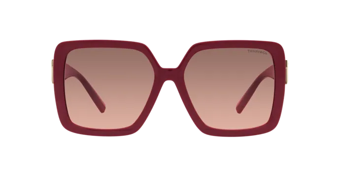 Tiffany TF4206U 836613