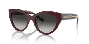 Tiffany TF4220 83893C