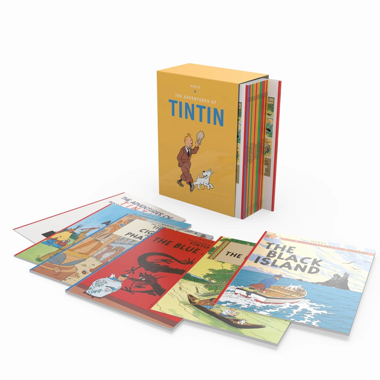 Tintin Paperback Boxed Set of 23 titles for ages 7 
