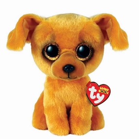 Zuzu - Small Dog